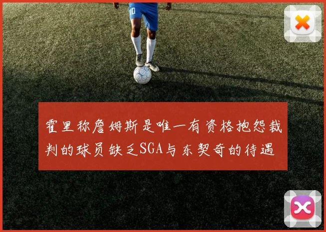 霍里称詹姆斯是唯一有资格抱怨裁判的球员缺乏SGA与东契奇的待遇