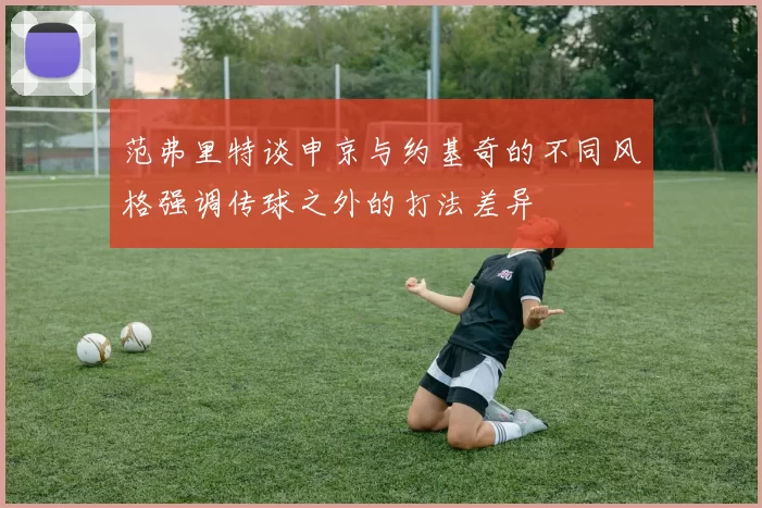 范弗里特谈申京与约基奇的不同风格强调传球之外的打法差异